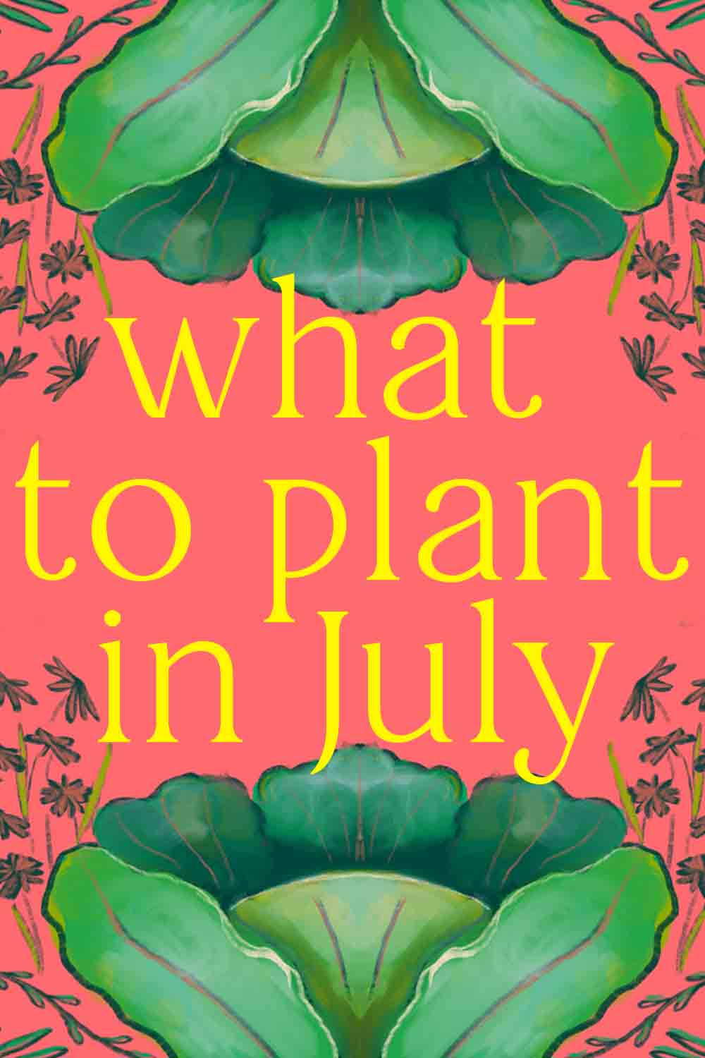 What to plant in july our top picks for yearlong harvests